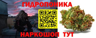 прущие крисы Нальчик