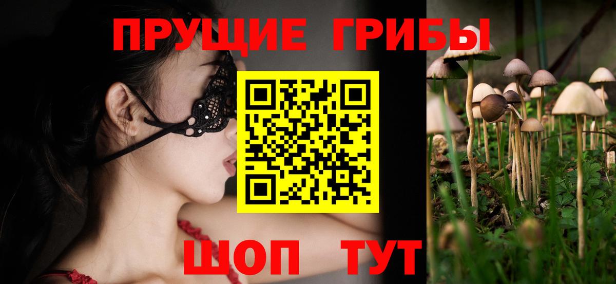 купить закладку  Вход с VPN  Тосно  Псилоцибиновые грибы мицелий 